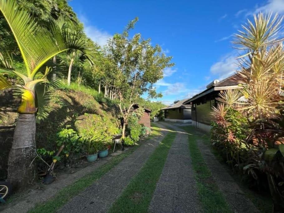 Tehuarupe Surf Studios Haapiti エクステリア 写真