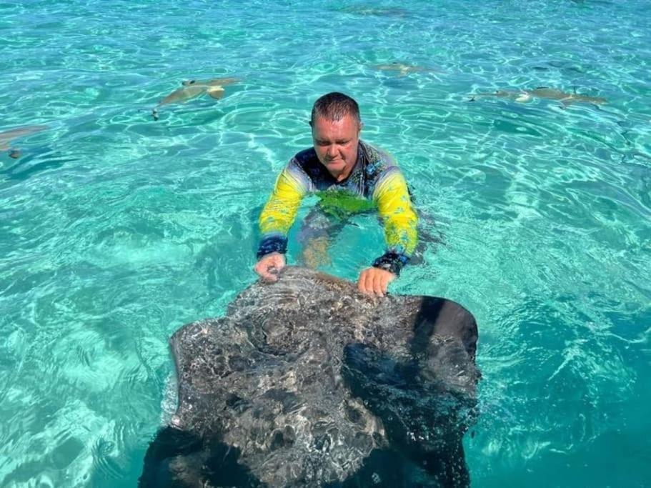Tehuarupe Surf Studios Haapiti エクステリア 写真