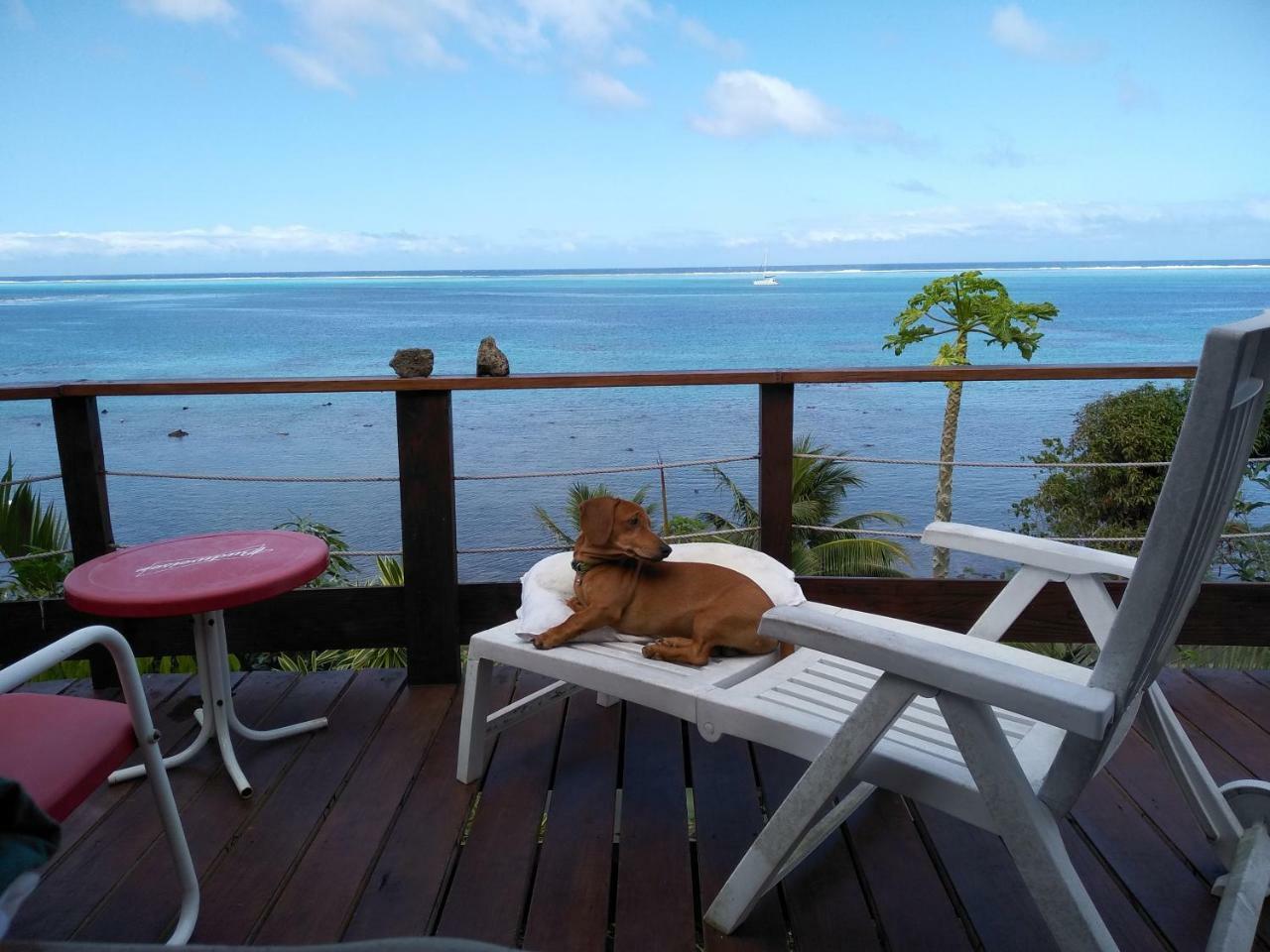 Tehuarupe Surf Studios Haapiti エクステリア 写真
